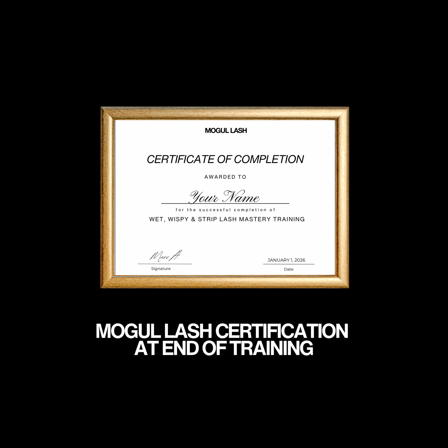 WISPY MASTERY TRAINING