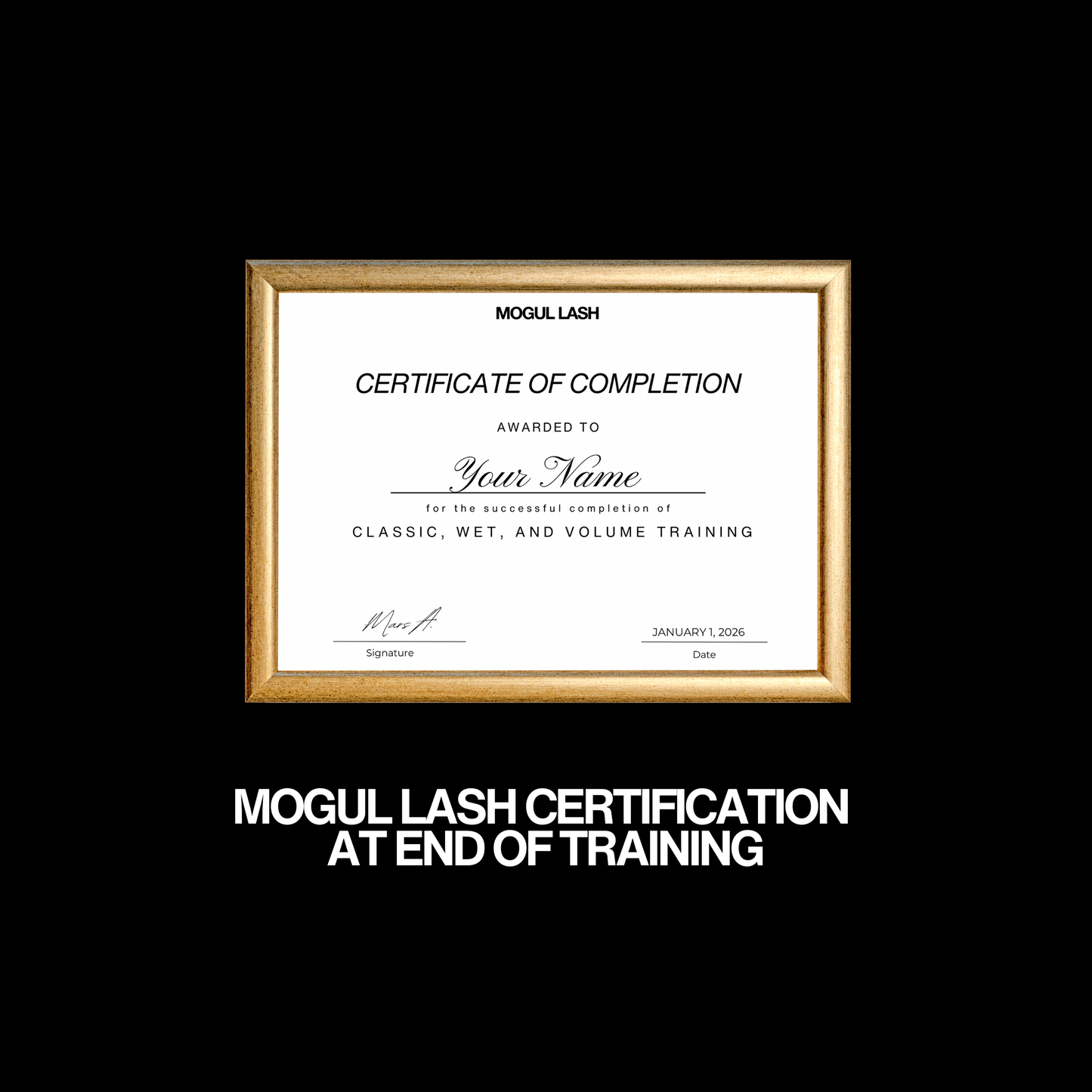 BEGINNER'S MASTER CLASS